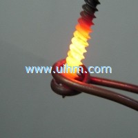 ultra-high frequency induction heating screw