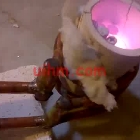 induction melting steel rods with flexible induction coil by UM-15A-HF